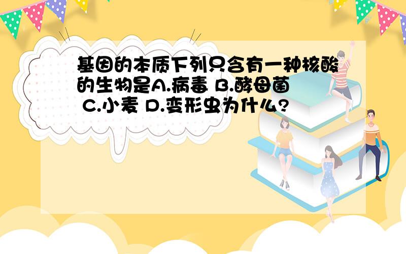 基因的本质下列只含有一种核酸的生物是A.病毒 B.酵母菌 C.小麦 D.变形虫为什么?