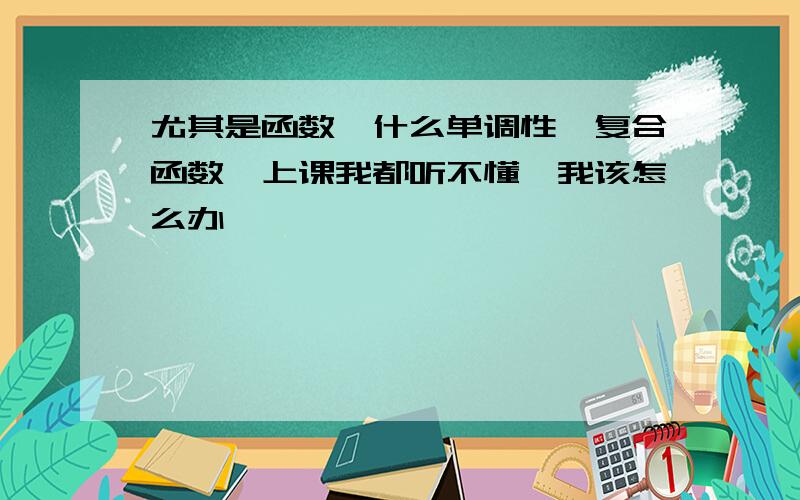 尤其是函数,什么单调性,复合函数,上课我都听不懂,我该怎么办