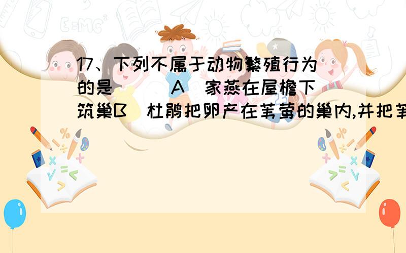 17、下列不属于动物繁殖行为的是 ( )A．家燕在屋檐下筑巢B．杜鹃把卵产在苇莺的巢内,并把苇莺的卵弄出巢C．动物园中,成年雄猴为争王而发生争斗D．雌雄鸵鸟轮流孵卵,白天由雌鸟孵卵,晚