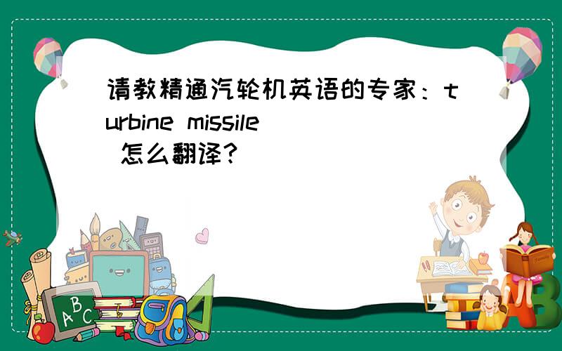 请教精通汽轮机英语的专家：turbine missile 怎么翻译?