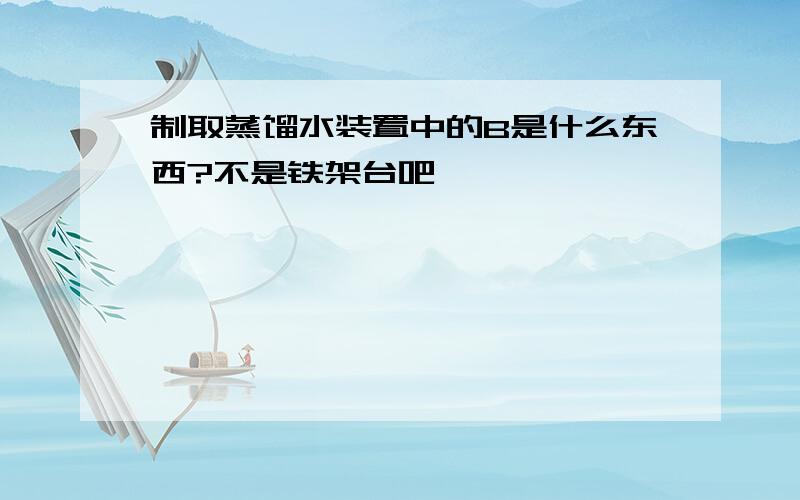 制取蒸馏水装置中的B是什么东西?不是铁架台吧