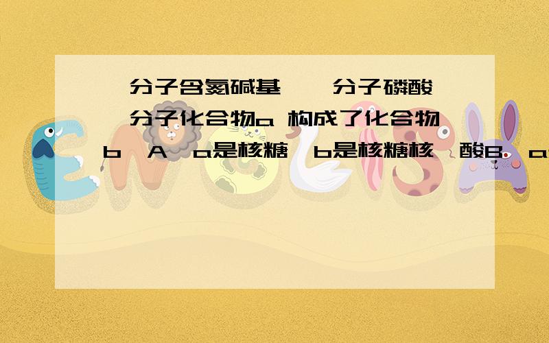 一分子含氮碱基、一分子磷酸、一分子化合物a 构成了化合物b、A、a是核糖、b是核糖核苷酸B、a是脱氧核糖、b是脱氧核糖核苷酸C、a是核糖、b是核糖核酸D、a是脱氧核糖、b是脱氧核苷酸