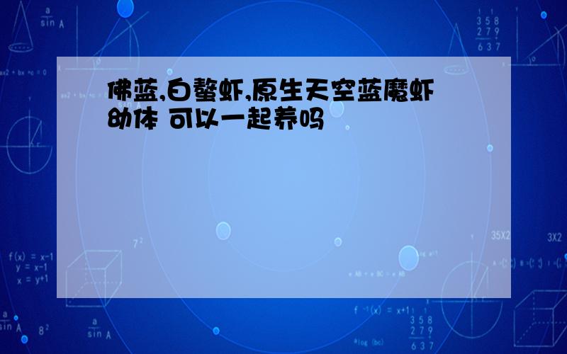 佛蓝,白螯虾,原生天空蓝魔虾幼体 可以一起养吗