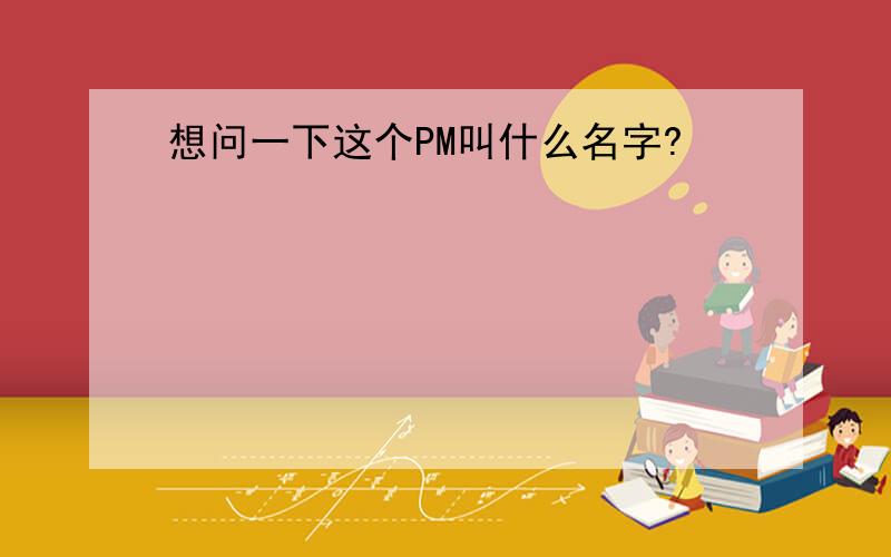 想问一下这个PM叫什么名字?