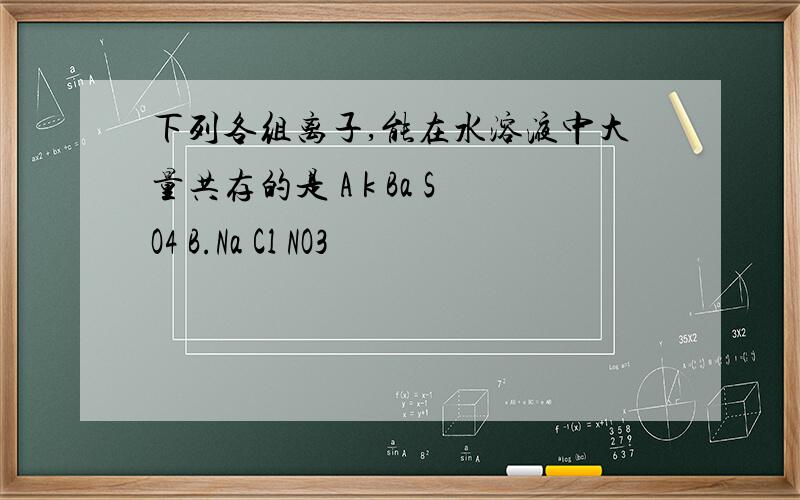 下列各组离子,能在水溶液中大量共存的是 A k Ba SO4 B.Na Cl NO3