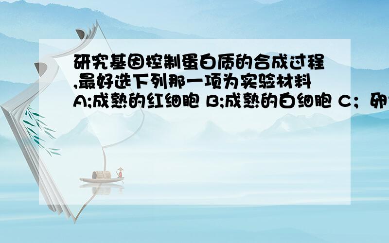 研究基因控制蛋白质的合成过程,最好选下列那一项为实验材料A;成熟的红细胞 B;成熟的白细胞 C；卵细胞 D；受精卵why