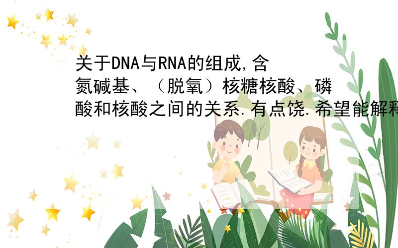 关于DNA与RNA的组成,含氮碱基、（脱氧）核糖核酸、磷酸和核酸之间的关系.有点饶.希望能解释清楚.核酸分为脱氧核糖核酸【DNA】和核糖核酸【RNA】.核酸的基本组成单位是核苷酸.DNA的基本单