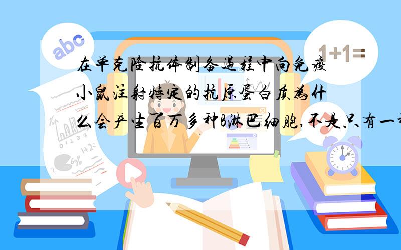 在单克隆抗体制备过程中向免疫小鼠注射特定的抗原蛋白质为什么会产生百万多种B淋巴细胞,不是只有一种吗?