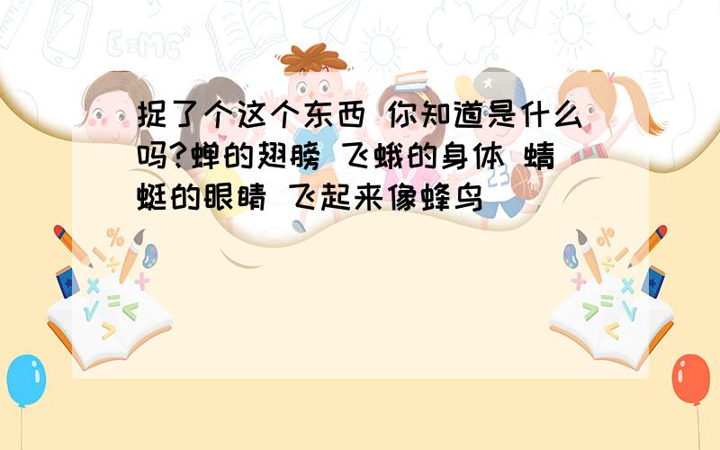 捉了个这个东西 你知道是什么吗?蝉的翅膀 飞蛾的身体 蜻蜓的眼睛 飞起来像蜂鸟