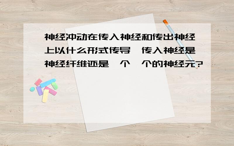 神经冲动在传入神经和传出神经上以什么形式传导,传入神经是神经纤维还是一个一个的神经元?