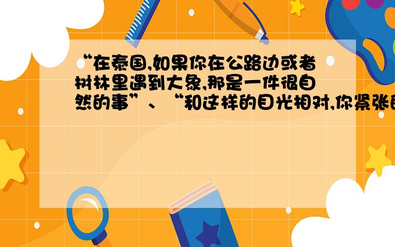 “在泰国,如果你在公路边或者树林里遇到大象,那是一件很自然的事”、“和这样的目光相对,你紧张的.“在泰国,如果你在公路边或者树林里遇到大象,那是一件很自然的事”、“和这样的目