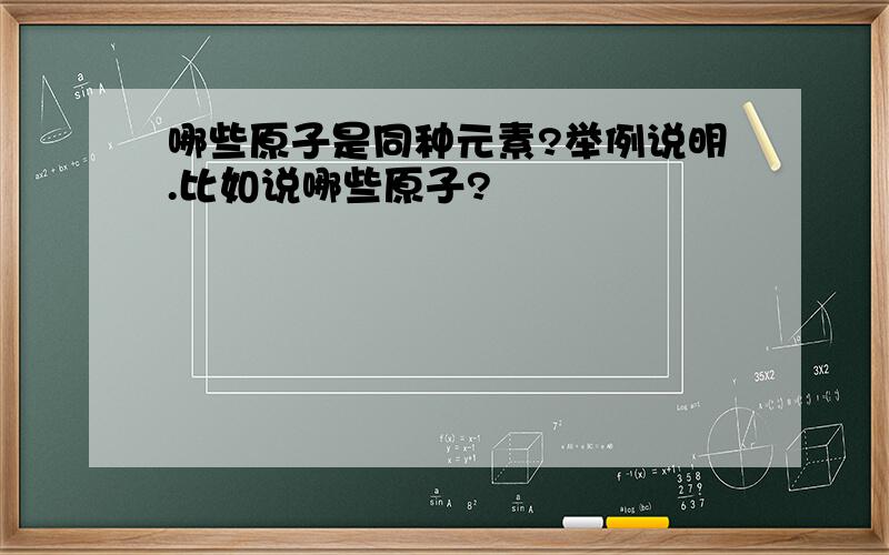 哪些原子是同种元素?举例说明.比如说哪些原子?