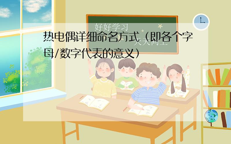 热电偶详细命名方式（即各个字母/数字代表的意义）