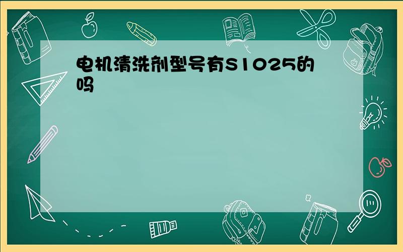 电机清洗剂型号有S1025的吗