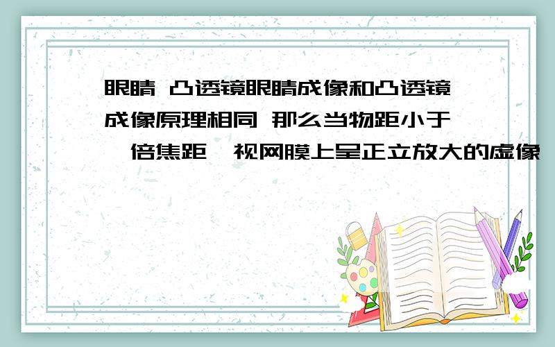 眼睛 凸透镜眼睛成像和凸透镜成像原理相同 那么当物距小于一倍焦距,视网膜上呈正立放大的虚像,后经大脑处理后,人看到的会是倒像,是这样吗