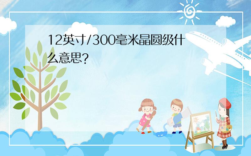 12英寸/300毫米晶圆级什么意思?