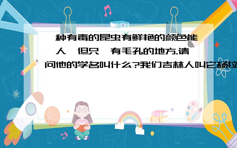 一种有毒的昆虫有鲜艳的颜色能蜇人,但只蜇有毛孔的地方.请问他的学名叫什么?我们吉林人叫它杨拉虫,我在天津,山东都见过它.它靠吃树叶为生,冬天的时候会做茧,外壳很坚硬.春天再变成飞