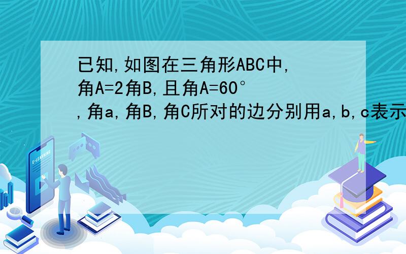 已知,如图在三角形ABC中,角A=2角B,且角A=60°,角a,角B,角C所对的边分别用a,b,c表示.求证a²=b（b+c）