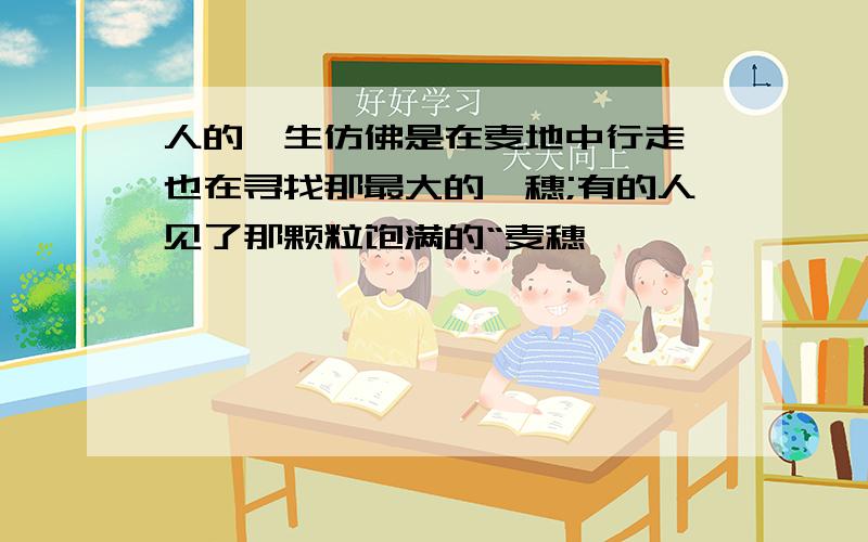 人的一生仿佛是在麦地中行走,也在寻找那最大的一穗;有的人见了那颗粒饱满的“麦穗