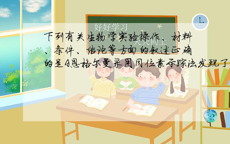 下列有关生物学实验操作、材料、条件、结论等方面的叙述正确的是A恩格尔曼采用同位素示踪法发现了光和作用的部位B在“提取和分离叶绿体色素实验”中,使用乙醇提取叶绿体中的色素C“