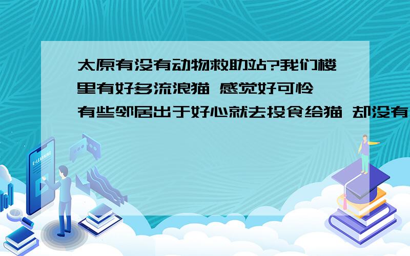 太原有没有动物救助站?我们楼里有好多流浪猫 感觉好可怜 有些邻居出于好心就去投食给猫 却没有人愿意收养 对猫儿的爱莫能助我很难过 我听说在北京有幸运土猫的流浪猫救助站 其他城市