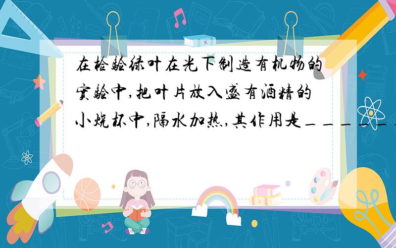 在检验绿叶在光下制造有机物的实验中,把叶片放入盛有酒精的小烧杯中,隔水加热,其作用是_________,要加热到叶片变成_________为止.