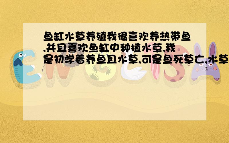 鱼缸水草养殖我很喜欢养热带鱼,并且喜欢鱼缸中种植水草,我是初学着养鱼且水草,可是鱼死草亡,水草买回时很绿,可隔几天叶黄根烂,缸中我放了买回的水草液肥和硝化细茵液,养鱼设备我都具