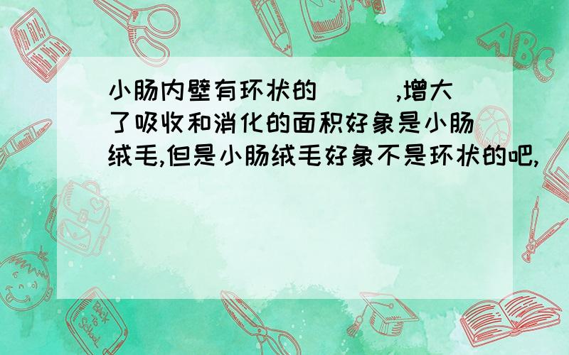 小肠内壁有环状的___,增大了吸收和消化的面积好象是小肠绒毛,但是小肠绒毛好象不是环状的吧,