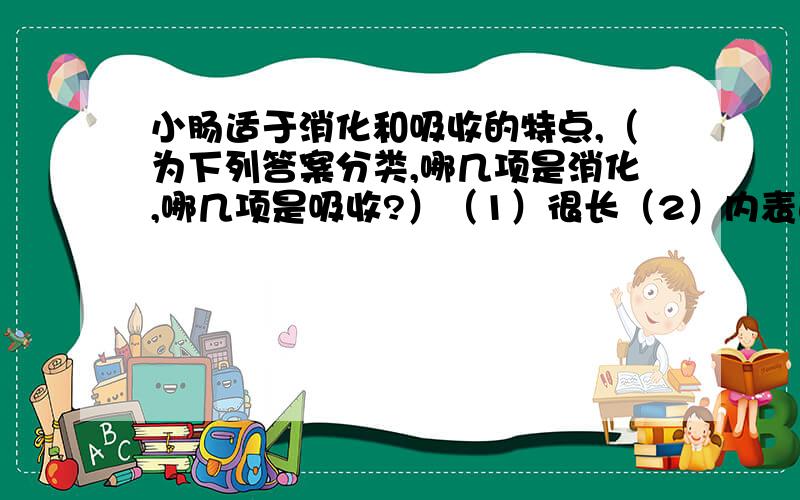 小肠适于消化和吸收的特点,（为下列答案分类,哪几项是消化,哪几项是吸收?）（1）很长（2）内表面具有皱襞和小肠绒毛（3）小肠绒毛壁都很薄,布满丰富的毛细血管（4）有各种消化液