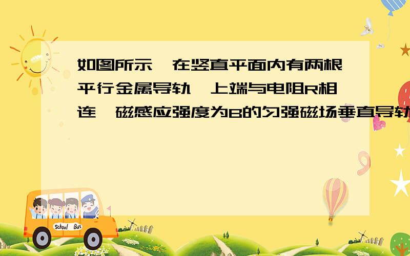 如图所示,在竖直平面内有两根平行金属导轨,上端与电阻R相连,磁感应强度为B的匀强磁场垂直导轨平面.