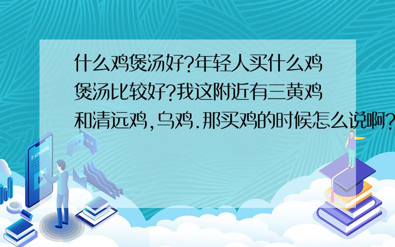 什么鸡煲汤好?年轻人买什么鸡煲汤比较好?我这附近有三黄鸡和清远鸡,乌鸡.那买鸡的时候怎么说啊?就说老板给我只没生过蛋的鸡吗?那老板会不做假啊?