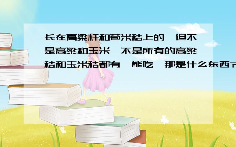 长在高粱杆和苞米秸上的,但不是高粱和玉米,不是所有的高粱秸和玉米秸都有,能吃,那是什么东西?