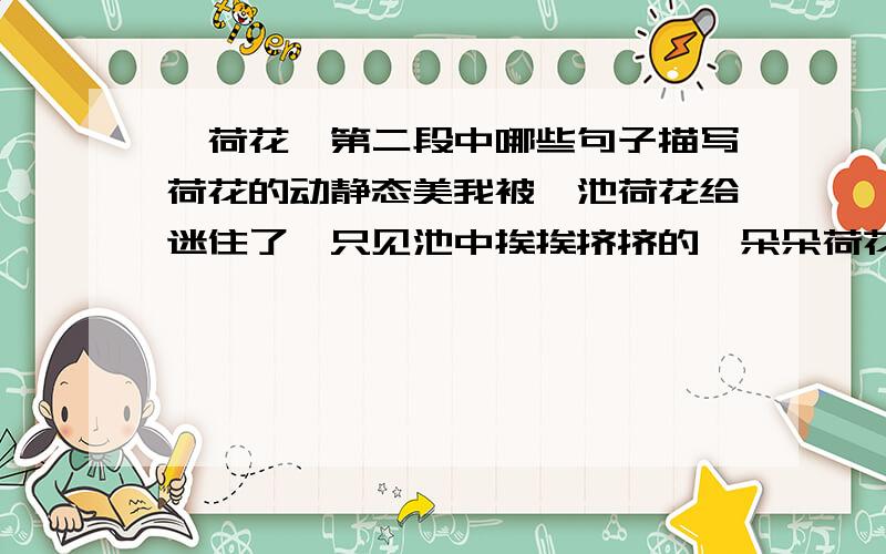 〈荷花〉第二段中哪些句子描写荷花的动静态美我被一池荷花给迷住了,只见池中挨挨挤挤的一朵朵荷花翘首仰望夜空星斗.多美的荷花.”我不由自主地说.随着一阵凉风,清香扑鼻而来.月光下,