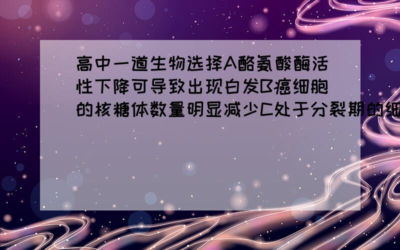 高中一道生物选择A酪氨酸酶活性下降可导致出现白发B癌细胞的核糖体数量明显减少C处于分裂期的细胞中的染色体数与核DNA比为1:2