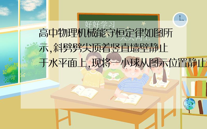 高中物理机械能守恒定律如图所示,斜劈劈尖顶着竖直墙壁静止于水平面上,现将一小球从图示位置静止释放,不计一切摩擦,则在小球从释放到落至地面的过程中,下列说法正确的是（　　）A．