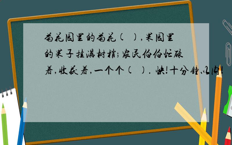 菊花园里的菊花( ),果园里的果子挂满树梢;农民伯伯忙碌着,收获着,一个个( ). 快!十分钟以内!