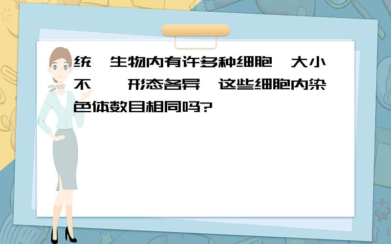 统一生物内有许多种细胞,大小不一,形态各异,这些细胞内染色体数目相同吗?