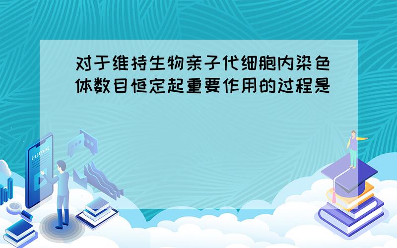 对于维持生物亲子代细胞内染色体数目恒定起重要作用的过程是