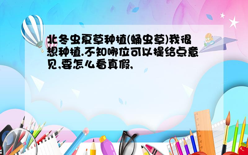 北冬虫夏草种植(蛹虫草)我很想种植.不知哪位可以提给点意见,要怎么看真假,