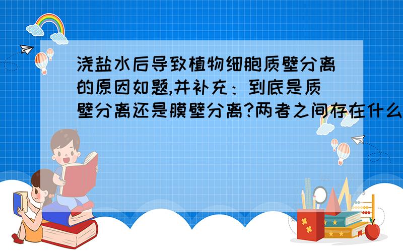 浇盐水后导致植物细胞质壁分离的原因如题,并补充：到底是质壁分离还是膜壁分离?两者之间存在什么物质?