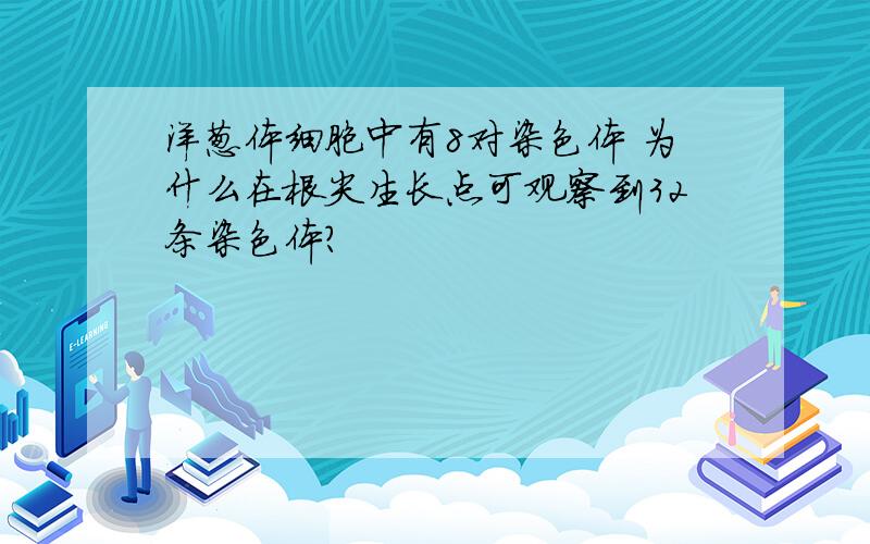 洋葱体细胞中有8对染色体 为什么在根尖生长点可观察到32条染色体?