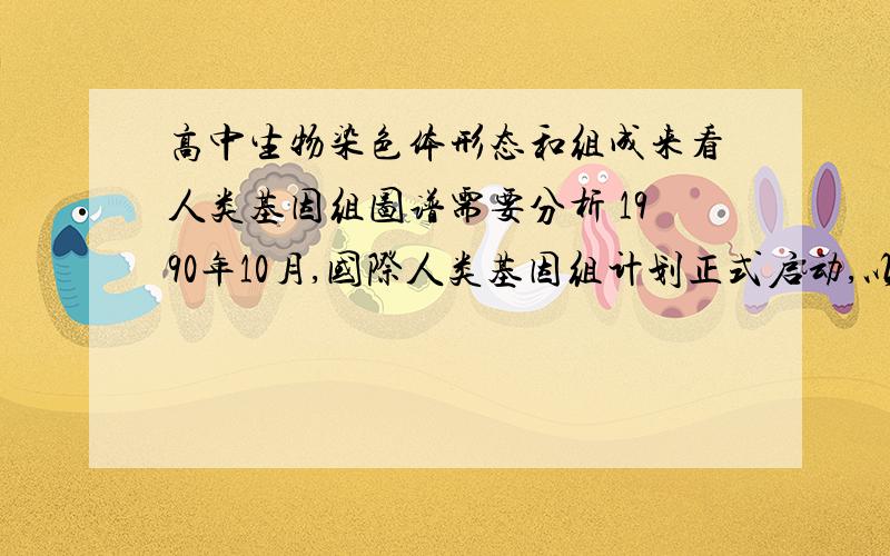 高中生物染色体形态和组成来看人类基因组图谱需要分析 1990年10月,国际人类基因组计划正式启动,以揭示生命和各种遗传现象的奥秘.下图A、B表示人类体细胞染色体组成.请回答问题：      (1)