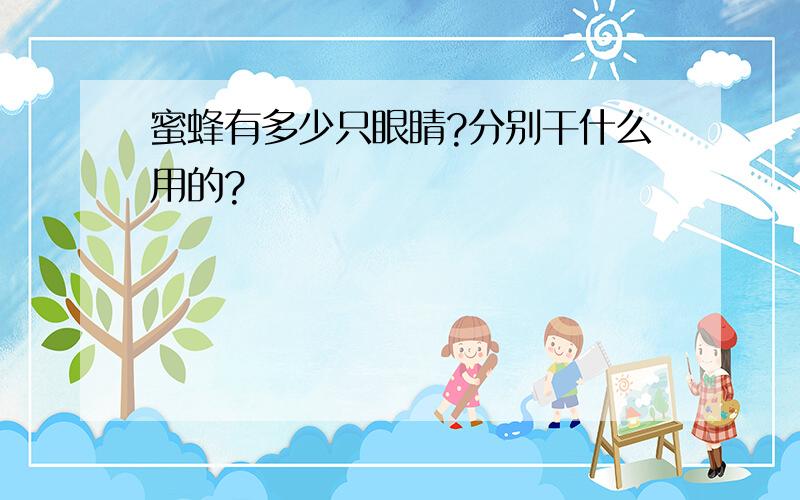 蜜蜂有多少只眼睛?分别干什么用的?