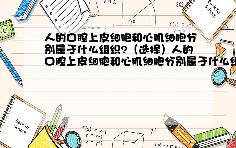 人的口腔上皮细胞和心肌细胞分别属于什么组织?（选择）人的口腔上皮细胞和心肌细胞分别属于什么组织?（ ）1、结缔组织 2、上皮组织 3、肌肉组织 4、神经组织A、1和2 B、3和4 C、2和3 D、1