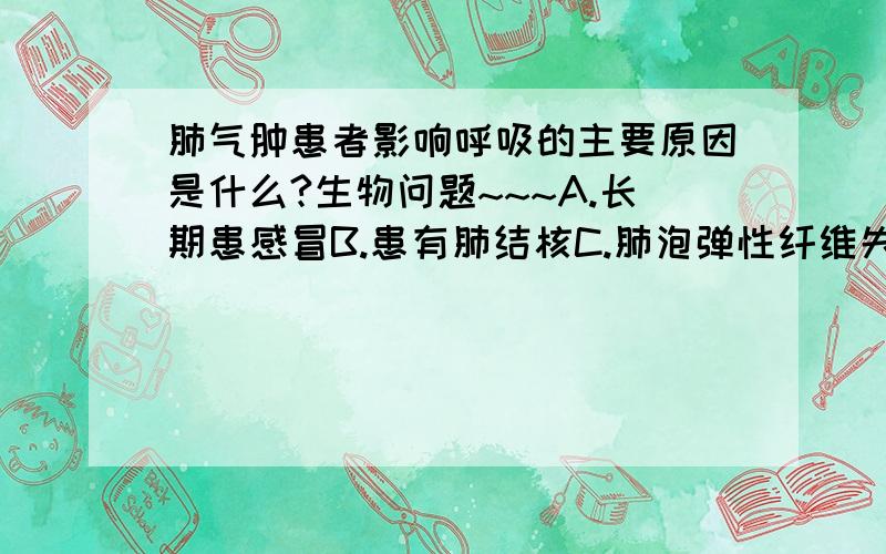 肺气肿患者影响呼吸的主要原因是什么?生物问题~~~A.长期患感冒B.患有肺结核C.肺泡弹性纤维失去弹性D.胸廓扩大和缩小的范围减小