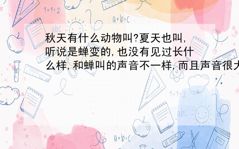 秋天有什么动物叫?夏天也叫,听说是蝉变的,也没有见过长什么样,和蝉叫的声音不一样,而且声音很大,连续叫好长时间.那个动物叫什么名字?谢谢.