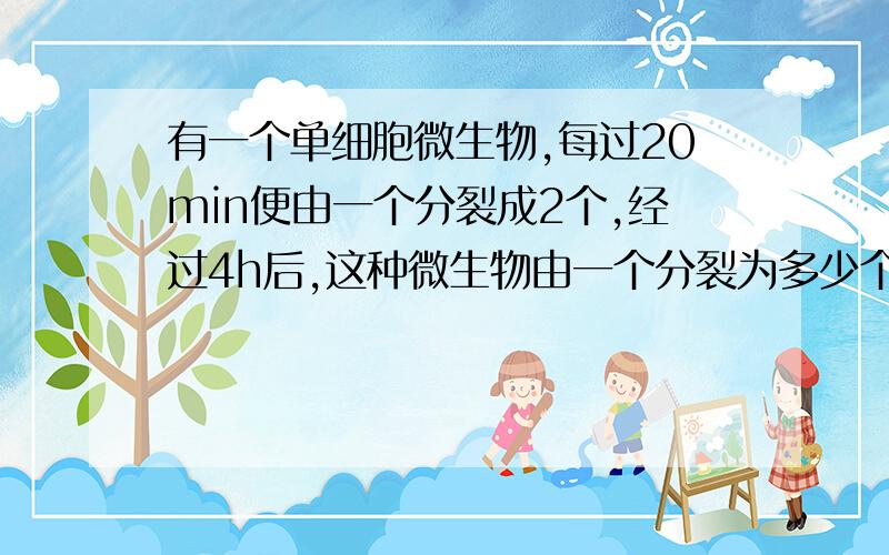 有一个单细胞微生物,每过20min便由一个分裂成2个,经过4h后,这种微生物由一个分裂为多少个?写算式和答