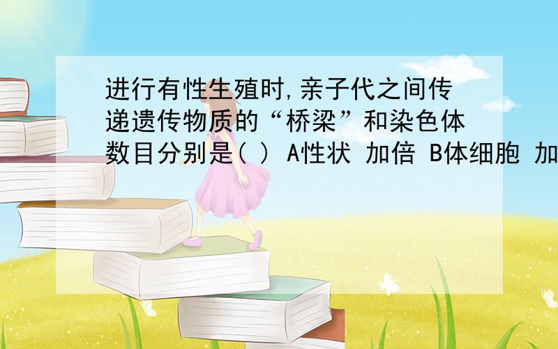 进行有性生殖时,亲子代之间传递遗传物质的“桥梁”和染色体数目分别是( ) A性状 加倍 B体细胞 加倍C染色体 减半            D生殖细胞 减半