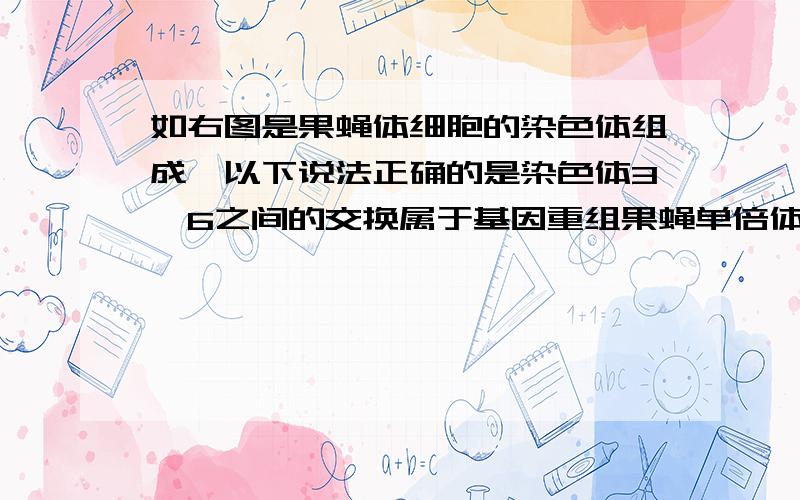 如右图是果蝇体细胞的染色体组成,以下说法正确的是染色体3、6之间的交换属于基因重组果蝇单倍体基因组可1、2、3、6、7的DNA分子组成这两句话哪个对 为什么?