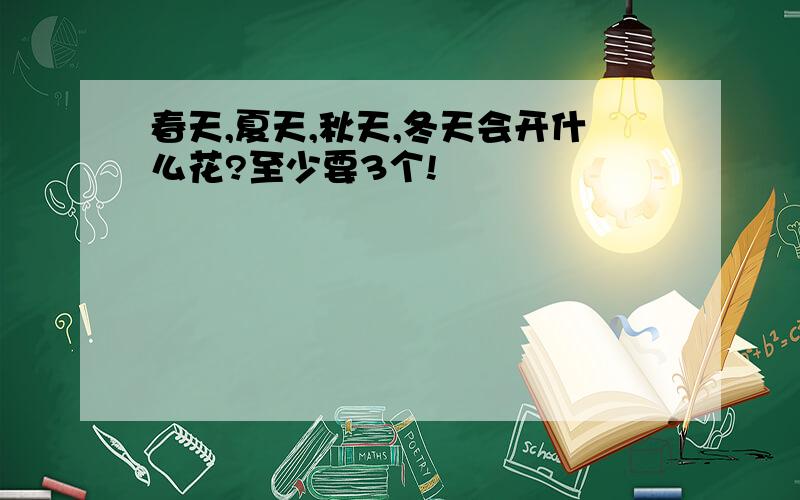 春天,夏天,秋天,冬天会开什么花?至少要3个!